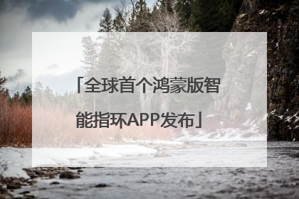 全球首个鸿蒙版智能指环APP发布