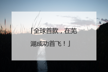 全球首款，在芜湖成功首飞！