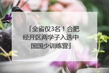 全省仅3名！合肥经开区两学子入选中国国少训练营