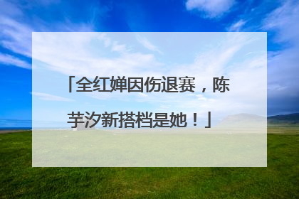 全红婵因伤退赛，陈芋汐新搭档是她！