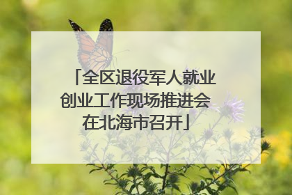 全区退役军人就业创业工作现场推进会在北海市召开