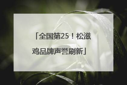全国第25！松滋鸡品牌声誉刷新