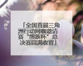 全国首届三角洲行动网咖邀请赛“熊族杯”总决赛圆满收官
