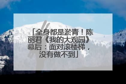 全身都是淤青！陈丽君《我的大观园》幕后：面对滚楼梯，没有做不到