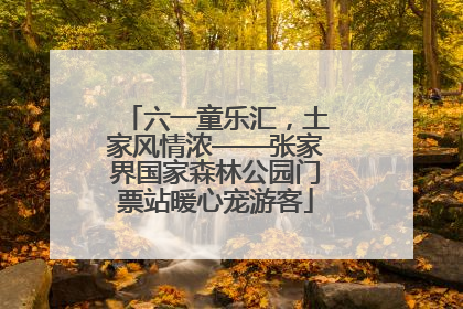六一童乐汇,土家风情浓——张家界国家森林公园门票站暖心宠游客