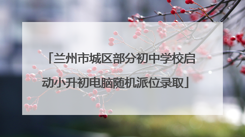 兰州市城区部分初中学校启动小升初电脑随机派位录取