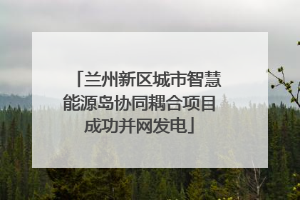 兰州新区城市智慧能源岛协同耦合项目成功并网发电