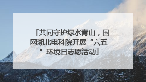 共同守护绿水青山,国网湖北电科院开展“六五”环境日志愿活动