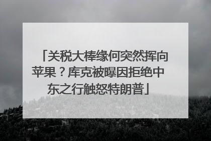 关税大棒缘何突然挥向苹果？库克被曝因拒绝中东之行触怒特朗普
