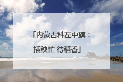内蒙古科左中旗：插秧忙 待稻香