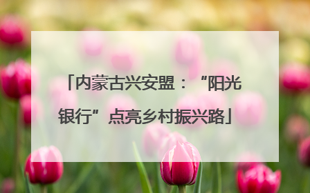 内蒙古兴安盟：“阳光银行”点亮乡村振兴路