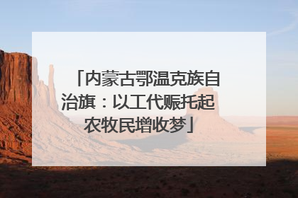内蒙古鄂温克族自治旗：以工代赈托起农牧民增收梦