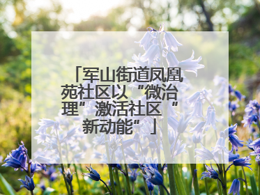 军山街道凤凰苑社区以“微治理”激活社区“新动能”