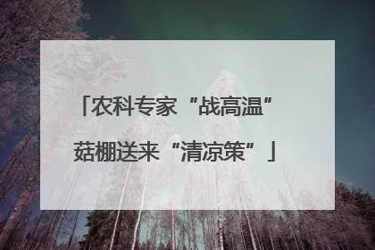 农科专家“战高温” 菇棚送来“清凉策”