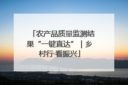 农产品质量监测结果“一键直达”｜乡村行·看振兴