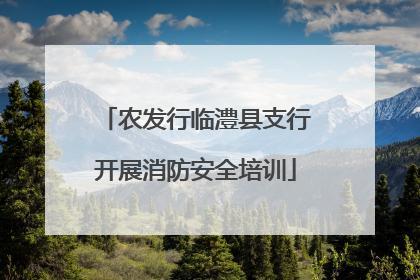农发行临澧县支行开展消防安全培训