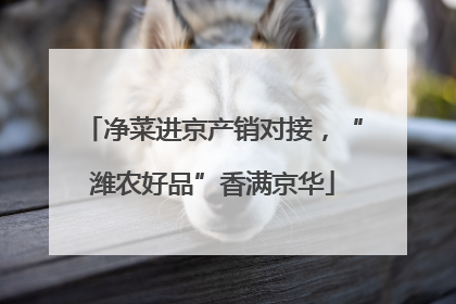 净菜进京产销对接，“潍农好品”香满京华