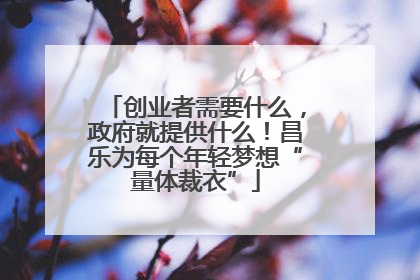 创业者需要什么，政府就提供什么！昌乐为每个年轻梦想“量体裁衣”