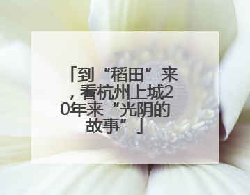 到“稻田”来，看杭州上城20年来“光阴的故事”