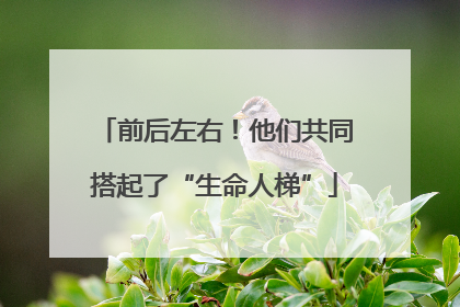 前后左右！他们共同搭起了“生命人梯”