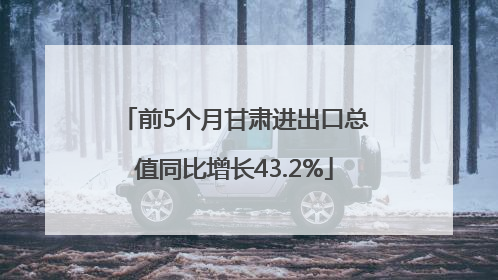 前5个月甘肃进出口总值同比增长43.2%