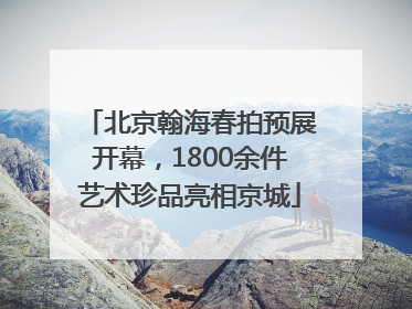 北京翰海春拍预展开幕，1800余件艺术珍品亮相京城