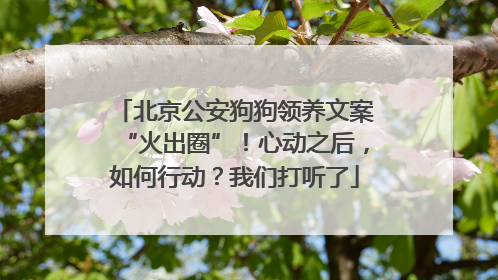 北京公安狗狗领养文案“火出圈”！心动之后，如何行动？我们打听了