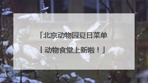 北京动物园夏日菜单丨动物食堂上新啦！