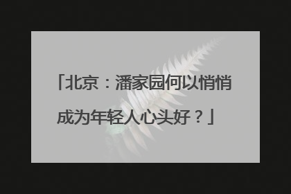 北京：潘家园何以悄悄成为年轻人心头好？