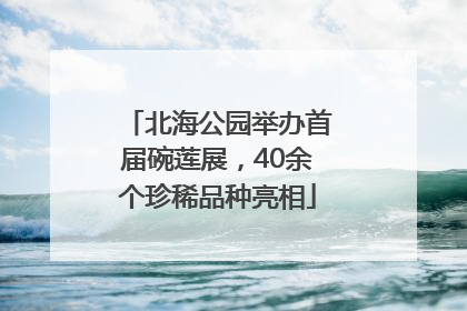 北海公园举办首届碗莲展，40余个珍稀品种亮相