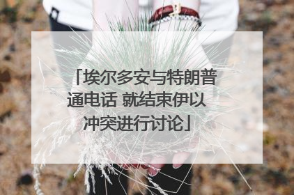 埃尔多安与特朗普通电话 就结束伊以冲突进行讨论