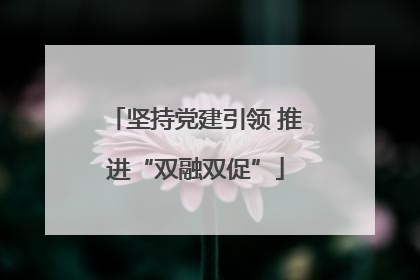 坚持党建引领 推进“双融双促”