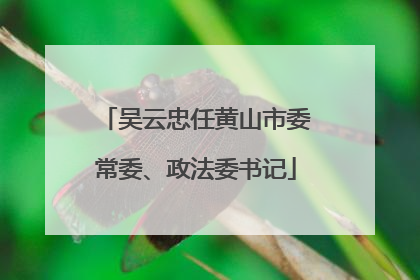吴云忠任黄山市委常委、政法委书记