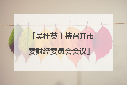吴桂英主持召开市委财经委员会会议