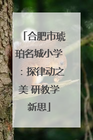 合肥市琥珀名城小学：探律动之美 研教学新思