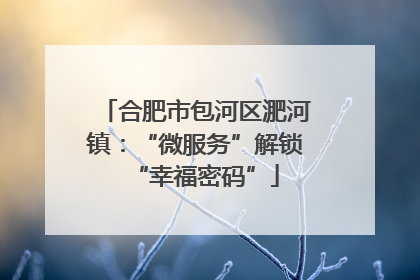 合肥市包河区淝河镇：“微服务”解锁“幸福密码”