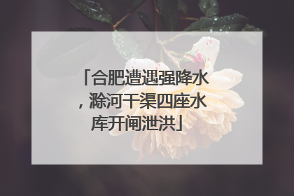 合肥遭遇强降水，滁河干渠四座水库开闸泄洪