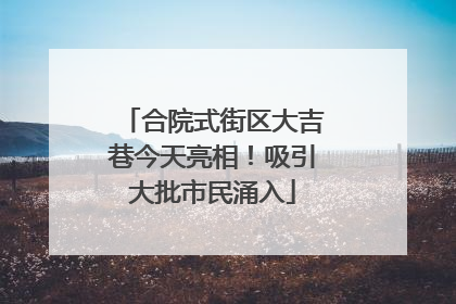 合院式街区大吉巷今天亮相！吸引大批市民涌入