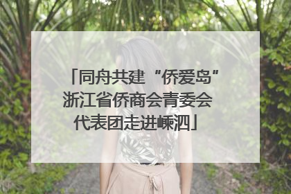 同舟共建“侨爱岛” 浙江省侨商会青委会代表团走进嵊泗