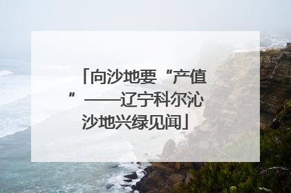 向沙地要“产值”——辽宁科尔沁沙地兴绿见闻