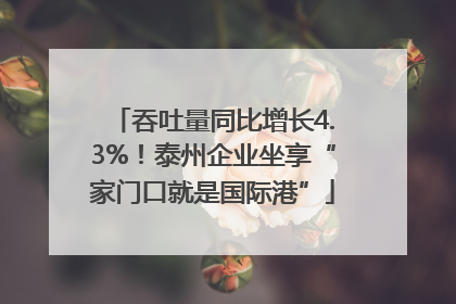 吞吐量同比增长4.3%！泰州企业坐享“家门口就是国际港”