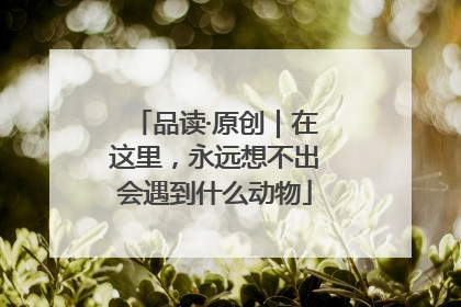 品读·原创｜在这里，永远想不出会遇到什么动物