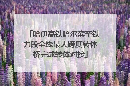 哈伊高铁哈尔滨至铁力段全线最大跨度转体桥完成转体对接