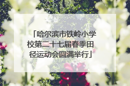 哈尔滨市铁岭小学校第二十七届春季田径运动会圆满举行