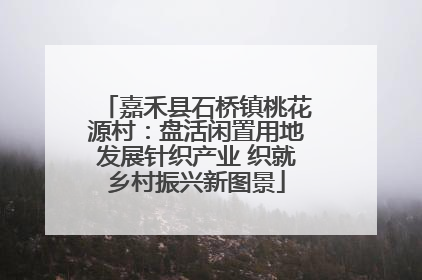 嘉禾县石桥镇桃花源村：盘活闲置用地发展针织产业 织就乡村振兴新图景