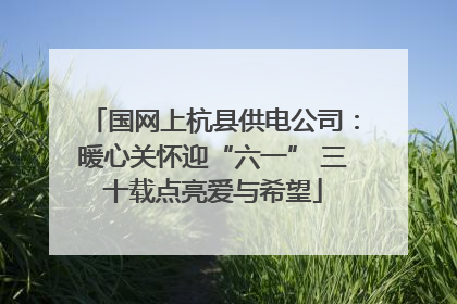 国网上杭县供电公司：暖心关怀迎“六一” 三十载点亮爱与希望
