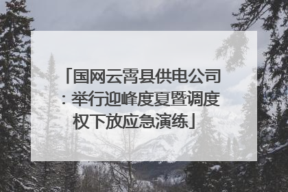 国网云霄县供电公司：举行迎峰度夏暨调度权下放应急演练
