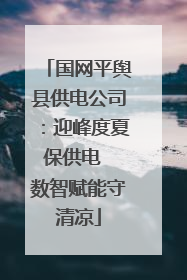 国网平舆县供电公司：迎峰度夏保供电  数智赋能守清凉