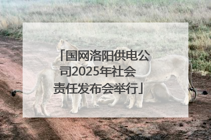 国网洛阳供电公司2025年社会责任发布会举行