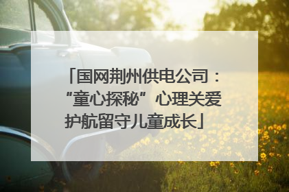 国网荆州供电公司：“童心探秘”心理关爱护航留守儿童成长